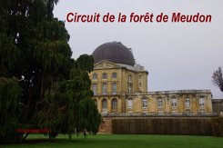 2015-11-08 Circuit de la forêt de Meudon 0000