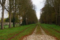 2015-10-30 Le parc du chateau de Versailles 0003