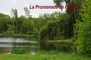 2019-04-28 Promenade de l_Orge 0000