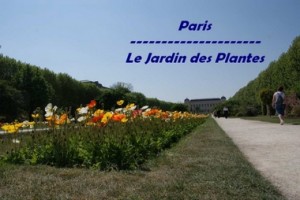 le jardin des plantes