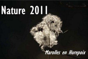 nature 2011