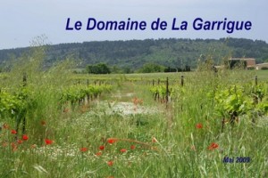 la garrigue