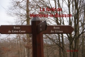 2012-01-22 Verrieres le Buisson