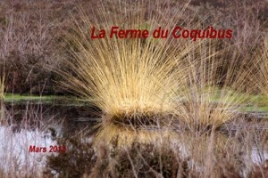 2013-03-29 La Ferme du Coquibus