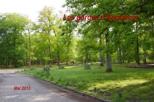 2013-05-17 Les gorges d'Apremont