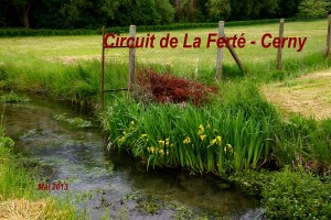 2013-05-26 La Ferte-Cerny