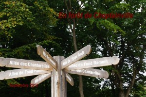 2013-09-06 Foret de Cheptainville