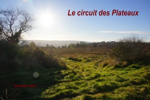 2013-12-15 Les Plateaux
