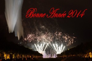 Bonne Année 2014