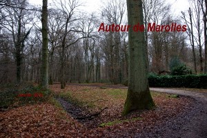 2014-01-10 Autour de Marolles