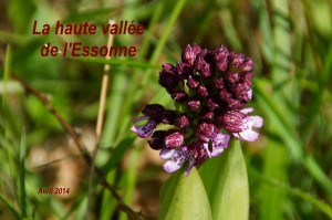 2014-04-18 La haute vallée de l_Essonne