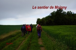 2014-05-11 Sentier de Moigny