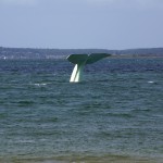 La baleine d'Arcachon