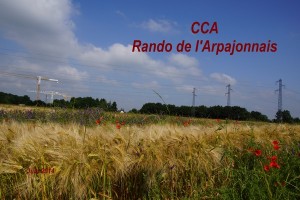2014-06-15 Rando de l_Arpajonnais