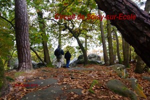 2014-11-07 Les crêtes de Soisy