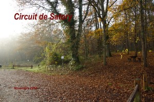 2014-11-23 Circuit de Satory