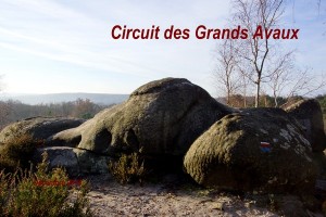 2014-12-07 Les Grands Avaux