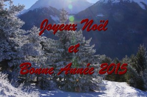 joyeux noel 2014