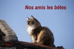 Nos amis les bêtes