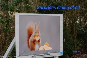 Surprises et clin d'œil