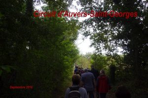 2016-09-11 Circuit d'Auvers-Saint-Georges