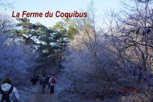 2017-01-06 La Ferme du Coquibus