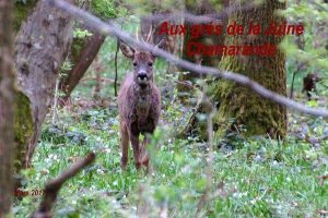 2017-03-31 La Juine - Chamarande