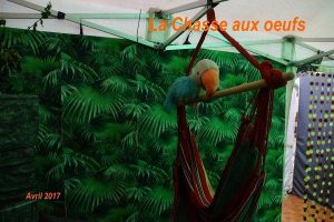 2017-04-17 Chasse aux oeufs