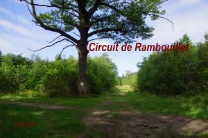 2017-06-04 Circuit de Rambouillet