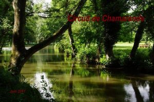 2017-06-25 Circuit de Chamarande