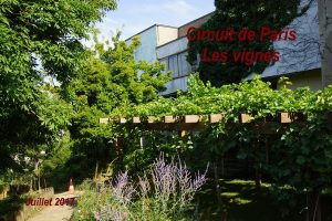 2017-07-07 Circuit de Paris-Les vignes
