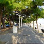 Arcachon les bords de plage