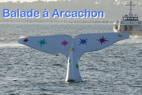 Balade à Arcachon Baiade é Arcachon